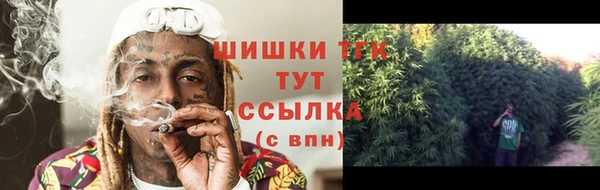 меф Арсеньев