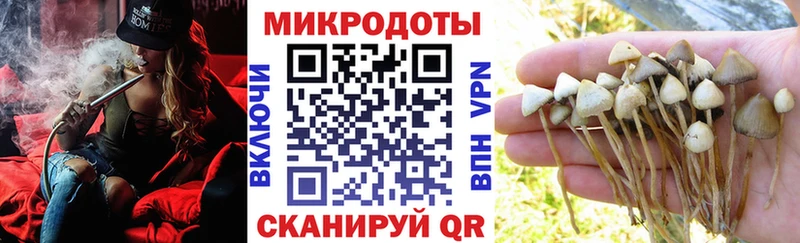 Купить где  Брянск  Псилоцибиновые грибы прущие грибы 